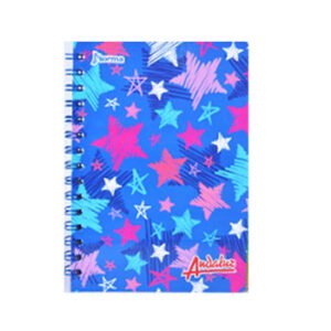 CUADERNO PEQUEÑO ESPIRAL 60HOJAS 1L